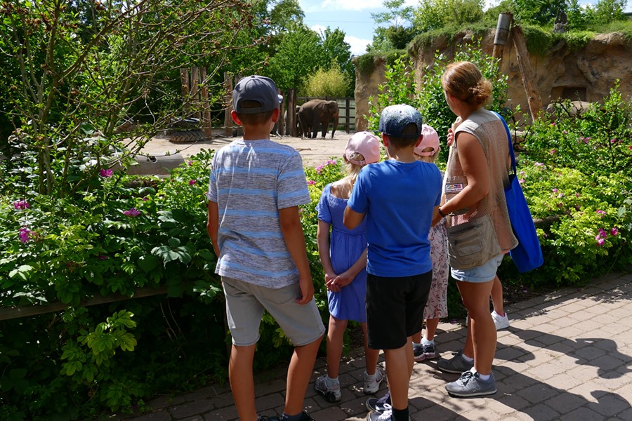 Führungen im Zoo Heidelberg wie in vielen modernen Zoos begeistern für die Tierwelt